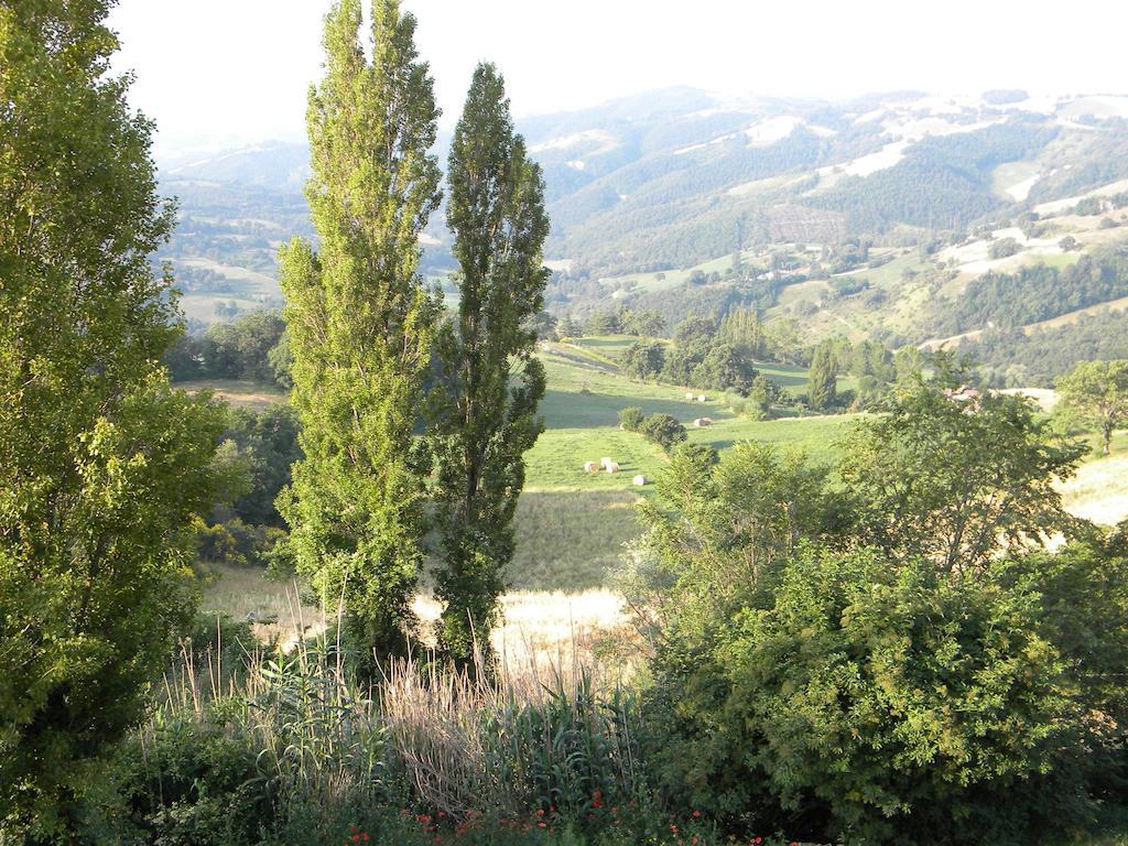 Agriturismo Borgo San Benedetto Villa Pietralunga  Exterior foto